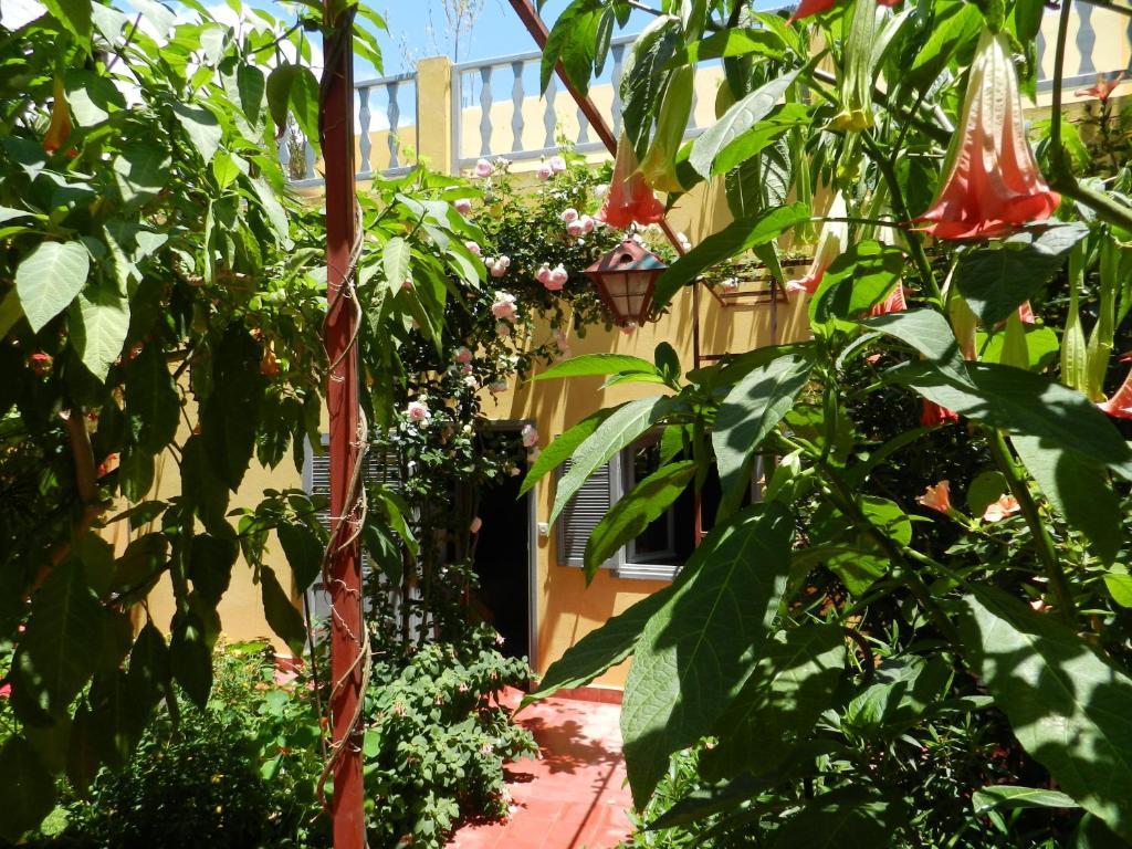 Dar Beldi Bed & Breakfast Oualidia Ruang foto