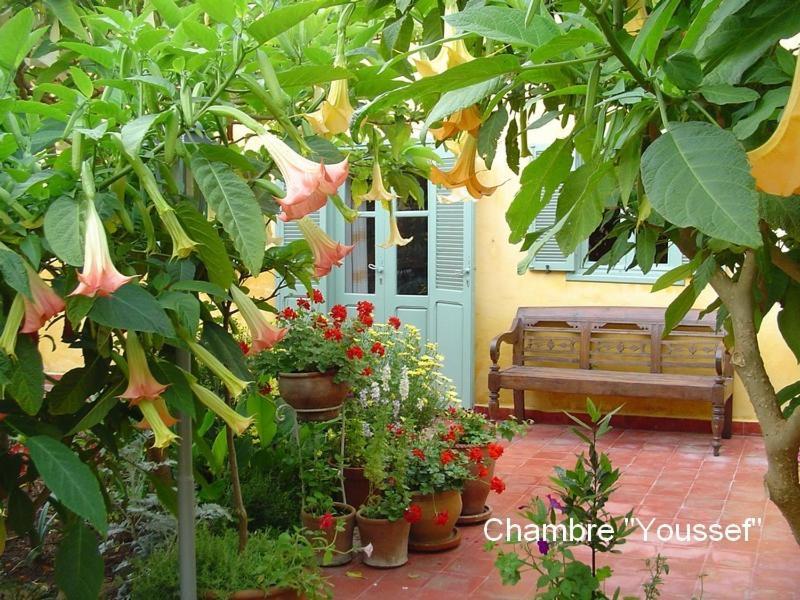 Dar Beldi Bed & Breakfast Oualidia Ruang foto